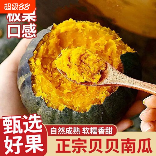 贝贝南瓜正宗板栗味粉糯香甜