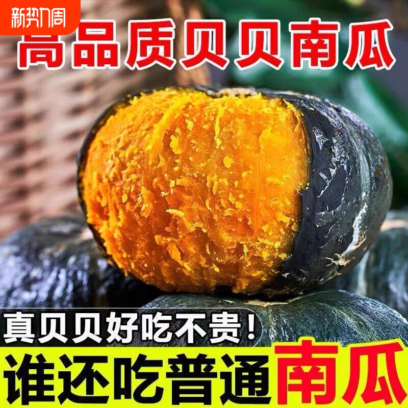 贝贝南瓜正宗板栗味小南瓜新鲜宝宝辅食粉糯营养丰富优质老南瓜