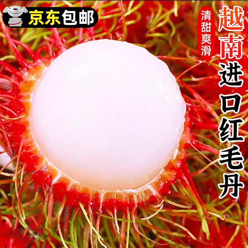 越南红毛丹整箱包邮进口应季水果新鲜当季东南亚水果正宗毛荔枝,水产肉类/新鲜蔬果/熟食,毛丹/毛荔枝,淘宝优惠券,粉丝福利购,淘宝优惠卷
