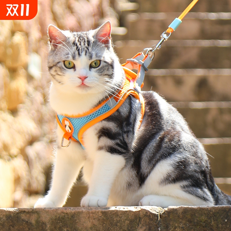 猫咪牵引绳防挣脱专用猫绳小型犬胸背带绳子溜猫绳宠物牵狗绳遛狗