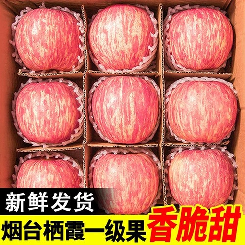 烟台红富士苹果10应当季斤新鲜水果整箱山东栖霞脆甜冰糖心丑平果