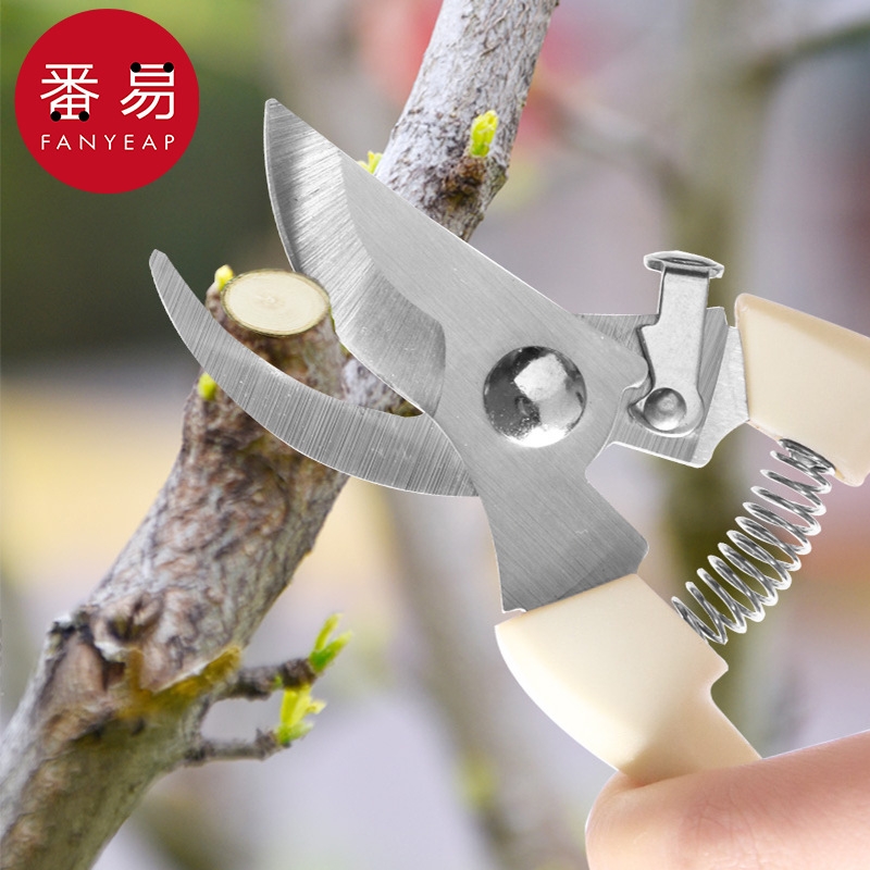 剪刀/园艺BA1SQ0-修枝剪树枝花卉修花菜地园林采摘水