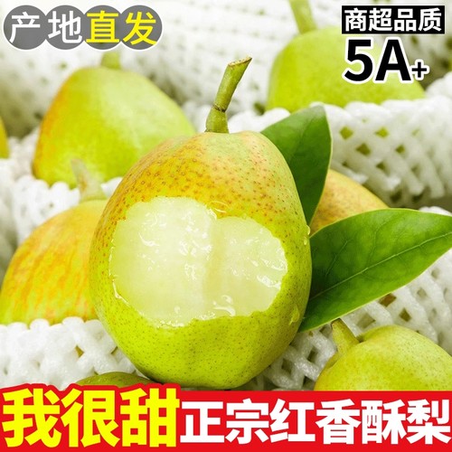 【脆甜】红香酥梨应当季梨子新鲜水果包邮青雪酥梨现整箱香梨孕妇