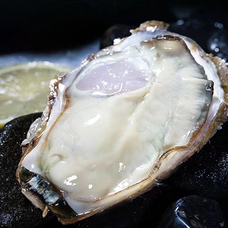 乳山生蚝鲜活牡蛎海鲜水产贝类海蛎子肉大带壳新鲜即食超大-封面