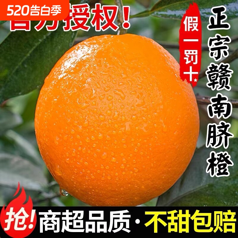 正宗赣南脐橙新鲜橙子当季水果甜果冻橙大整箱包邮江西官方旗舰店
