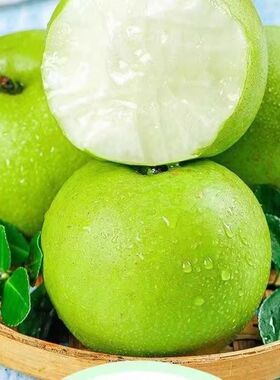 安徽砀山梨翠冠梨新鲜9斤当季水果翠玉梨子汤山脆冠青梨酥脆整箱