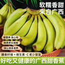 广西现摘青皮甜香蕉香甜营养儿童孕妇放心食产地直发青蕉变软可食