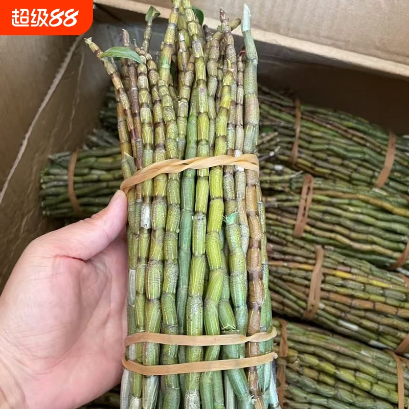 云南新鲜铁皮石斛鲜条食用滋补仿野生种植2-7年生现剪现发