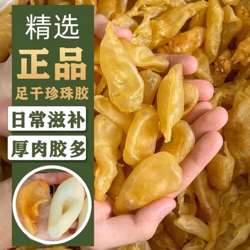 深海珍珠胶鲜炖花胶正品甜品