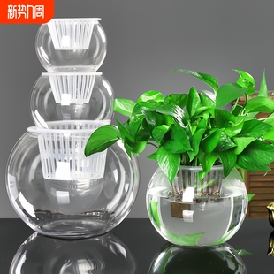 创意水培瓶植物透明玻璃花瓶花盆共养缸水养摆件器皿桌面极简吸水