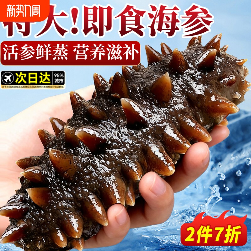 海参即食鲜活鲜食辽刺参干货生叁孕妇刺参礼盒500g特价连个装年货