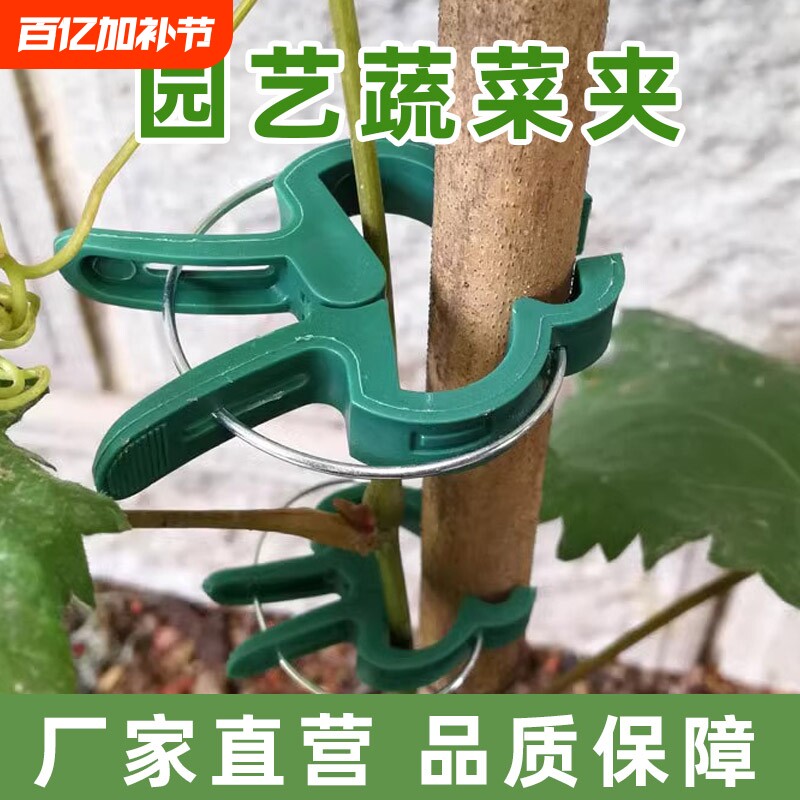 爬藤植物固定夹大号绿色卡扣蔬菜番茄花卉瓜果枝条藤蔓固定夹扣子