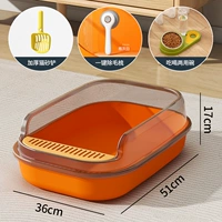 Янтарный апельсин 【роскошный набор набор】 Рекомендация