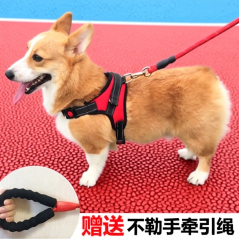 狗狗胸背带牵引绳|超2000次加购										