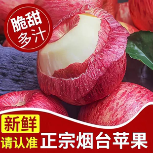 山东栖霞红富士苹果当季采摘产地直发脆甜多汁皮薄无渣老少皆宜