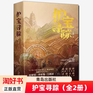 影视小说原著 白宇帆辛柏青王鹤润富大龙尤勇智 护宝寻踪 同名考古与文物保护题材电视剧央视黄金档爱奇艺腾讯视频燃情播出