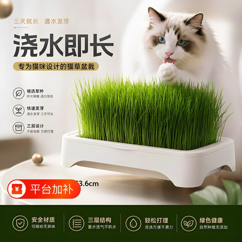 猫草新款网红猫草水培盒套装即食猫零食天然去毛球化毛猫草盆
