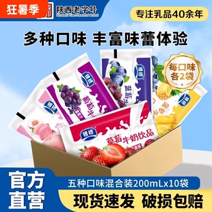 银桥草莓味牛奶饮品200ml*12袋装含乳饮料正品葡萄蓝莓真果汁菠萝