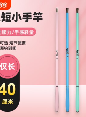 新款便携式迷你小手杆儿童钓鱼竿手竿超短溪流竿新手入门套装