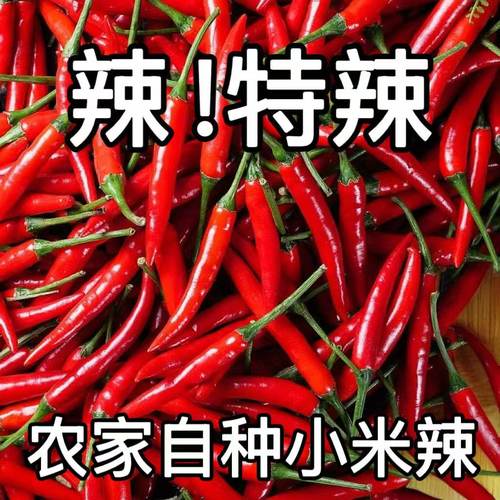 小米辣椒新鲜5斤辣小米椒朝天椒超辣薄皮红辣椒指天椒尖椒小米辣