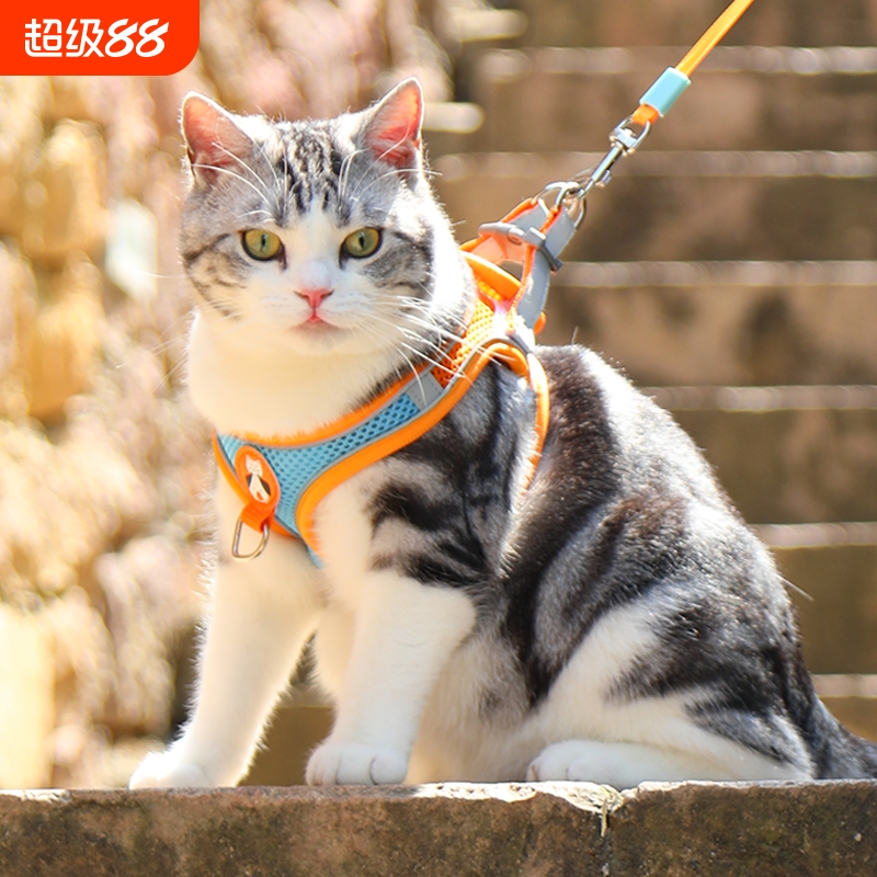 猫咪牵引绳防挣脱专用猫绳小型犬胸背带绳子溜猫绳宠物牵狗绳遛狗
