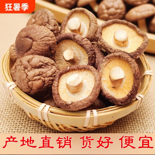 干香菇干货袋装蘑菇肉厚无根