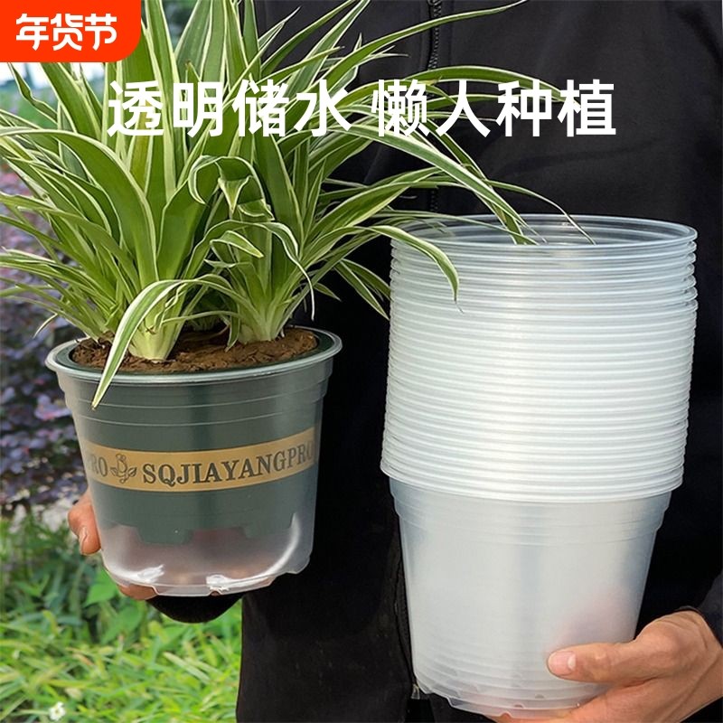 花盆自动吸水透明懒人水培套盆多肉储水加仑自吸水种植耐用六角,鲜花速递/花卉仿真/绿植园艺,花盆,淘宝优惠券,粉丝福利购,淘宝优惠卷
