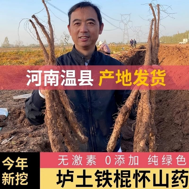 铁棍山药河南焦作温县正宗垆土怀淮山药新鲜铁杆蔬菜批发包邮怀山