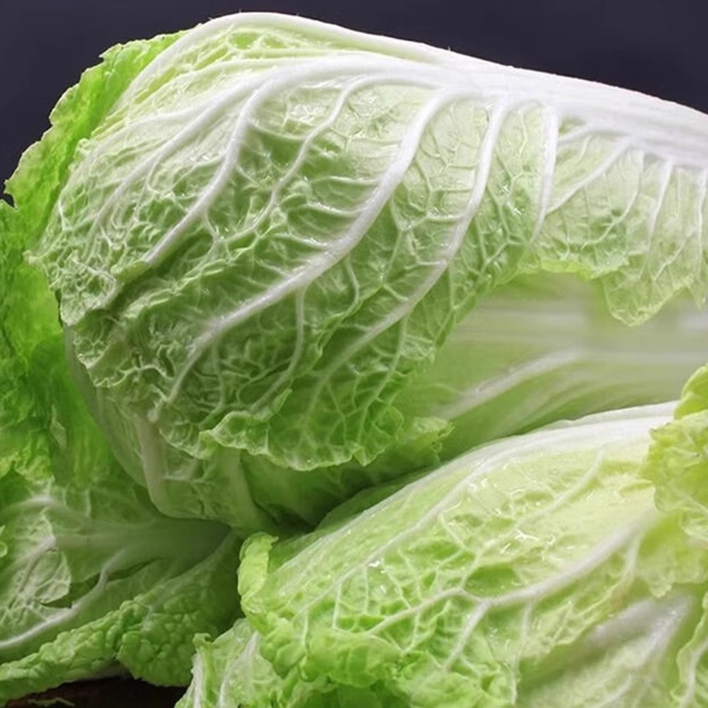 精选大白菜新鲜蔬菜本地农家自种非存储菜当季新鲜蔬菜绿叶菜