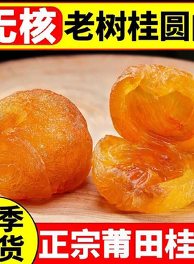 莆田桂圆肉干无核免剥龙眼肉去核