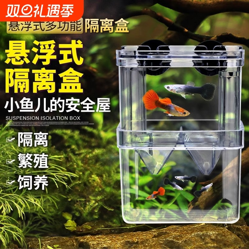 鱼缸隔离盒孔雀鱼繁殖盒凤尾斑马母鱼产房小鱼缸内胎生鱼幼鱼孵化