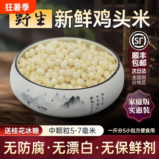 2026年顺丰包邮正宗新鲜苏州特产野生鸡头米芡实冷冻中颗粒5-7mm