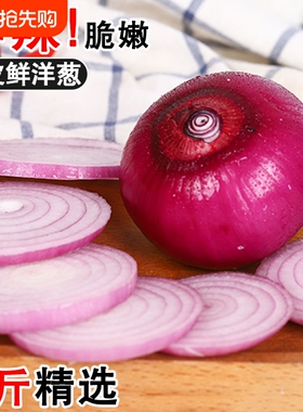 山东紫皮洋葱新鲜5斤水果生吃甜圆葱洋葱头当季农家蔬菜生吃圆葱