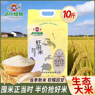 生态 绿色虾田米新米现磨现发大米籼米长粒米香米煮粥蒸饭家用当季