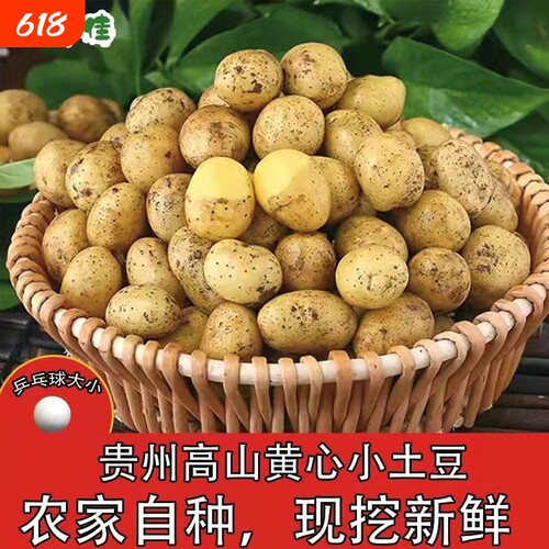 正宗恩施富硒小土豆农家自种新鲜蔬菜黄心迷你当季洋芋马铃薯现挖