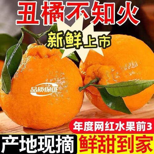 新鲜四川丑橘采摘资中不知火新鲜水果丑八怪整箱柑橘桔子