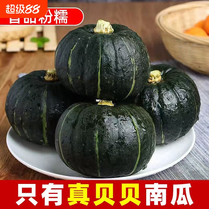 贝贝南瓜正宗板栗味新鲜小南瓜粉糯蔬果健康餐轻食儿童孕妇辅食