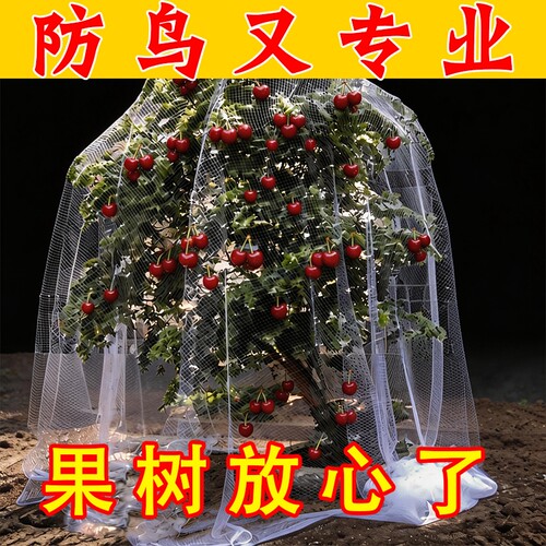 新款果树防鸟网罩蓝莓枇杷樱桃葡萄果园尼龙防护网菜地阳台保护罩
