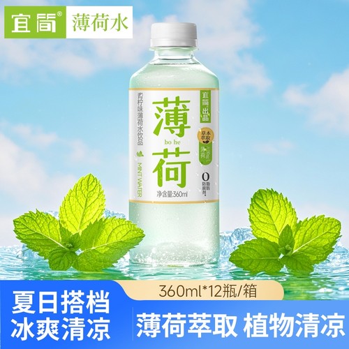 宜简薄荷水草本萃取植物饮品0糖0脂360ml*12瓶 三月批次
