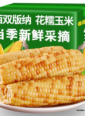 西双版纳香糯小玉米花糯玉米早餐