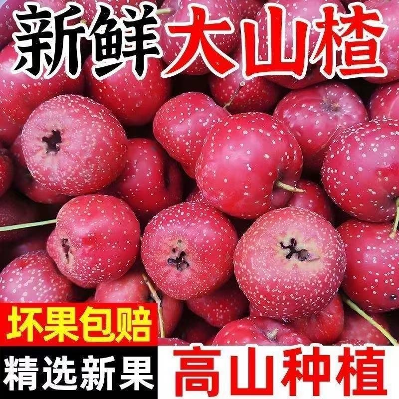 【补贴】新鲜山楂大果大金星农家天然红果雪球糖雪球泡酒专用水果,水产肉类/新鲜蔬果/熟食,其它,淘宝优惠券,粉丝福利购,淘宝优惠卷