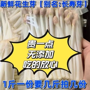 新鲜花生芽精品豆芽长寿菜现采无土蔬菜现发火锅酒店食材