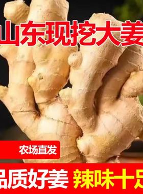 正宗山东生姜老姜大姜新鲜农家黄姜月子干姜农家种植姜块