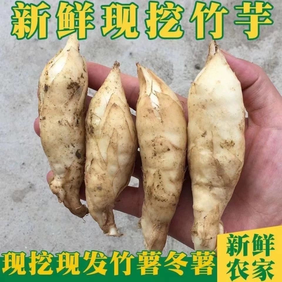2025新鲜竹薯煲汤 冬粉薯 东京薯竹薯 冬粉薯 煲汤农家自种