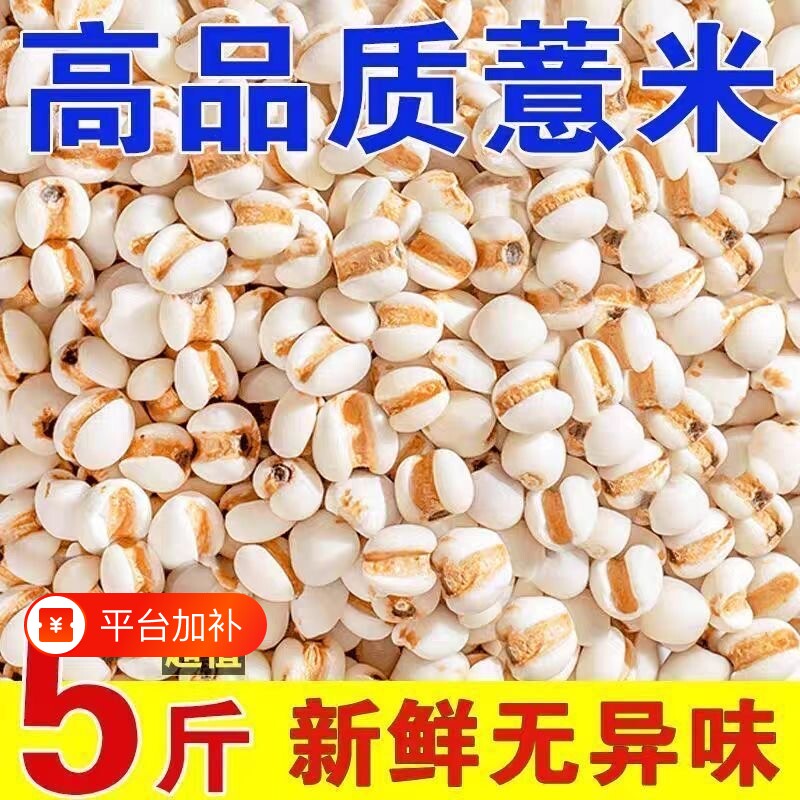云南粗粮薏米仁新米大薏仁米商用配赤豆红豆五谷杂粮薏苡仁中药材