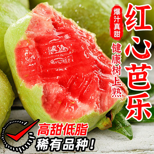 福建软糯红心芭乐水果软心番石榴奶油翻潘蕃鸡屎果新鲜巴乐果