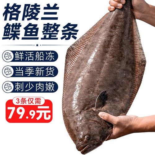 鸦片鱼深海鲽鱼整条蝶鱼身鱼头格陵兰比目鱼新鲜冷冻特大牙雅片鱼