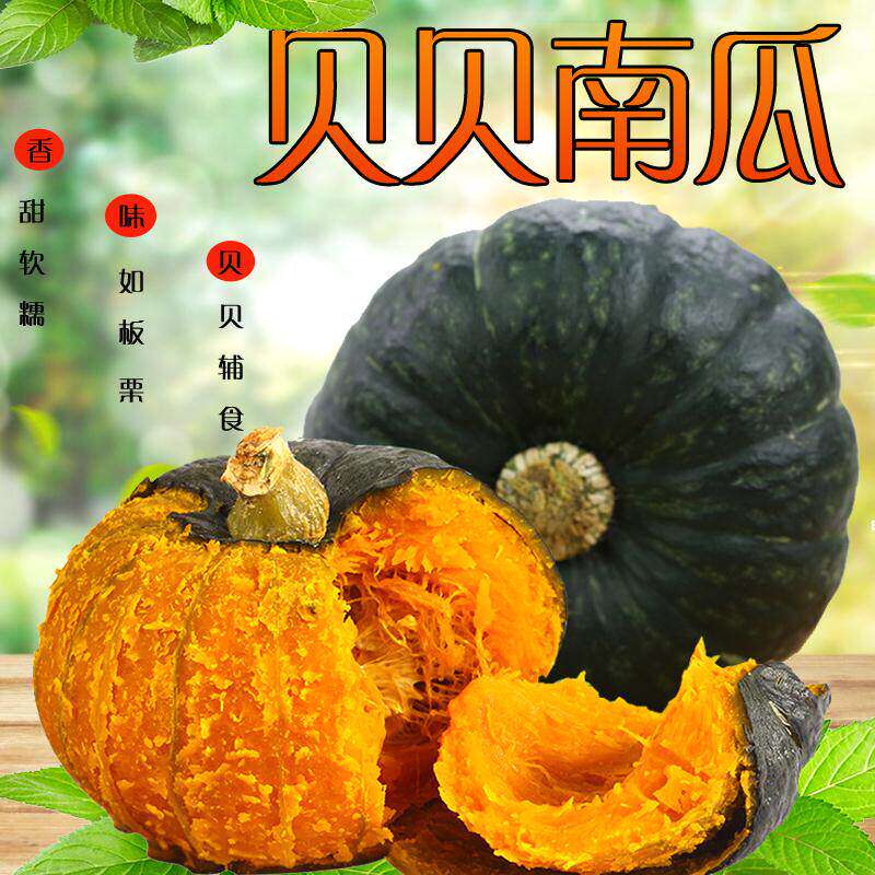 真贝贝小南瓜板栗味孕妇宝宝辅食新鲜蔬菜5斤自提生鲜现摘油炸