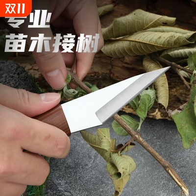专业果树芽接刀|超1000次加购