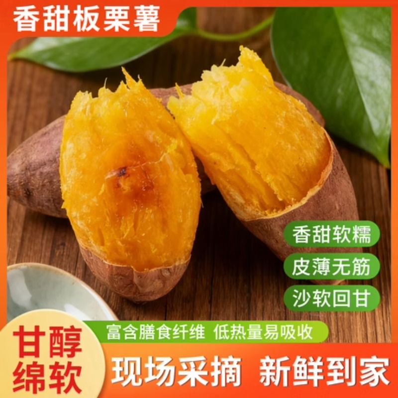 现挖正宗黄心板栗薯新鲜农家沙地种植红薯粉糯干面番薯地瓜甜香糯